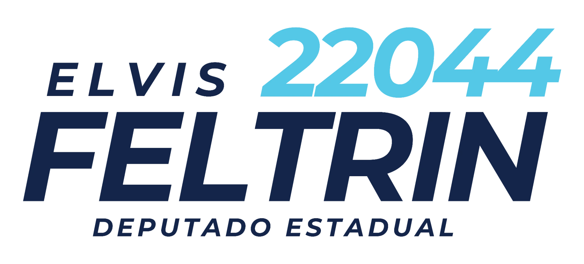 Feltrin 22044 — Deputado Estadual